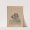 Dog Head by Louis Van Engelen