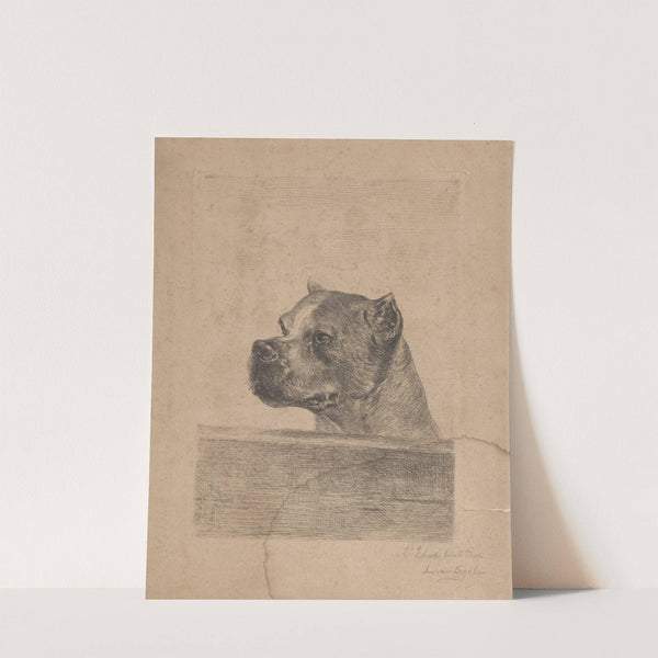Dog Head by Louis Van Engelen