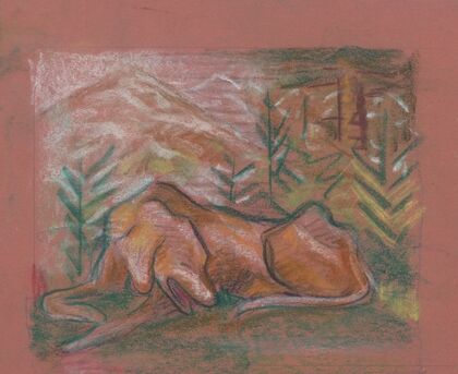 Dog in the Woods