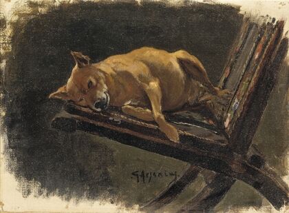 Dog, Lying Down