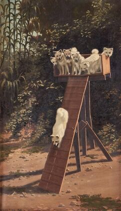 Dog Training