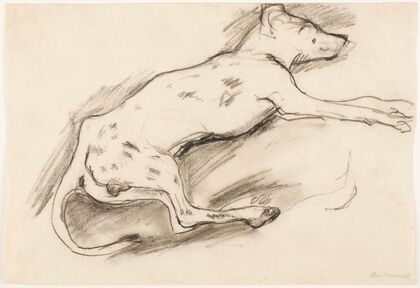 Dog with Black Spots (1907)
