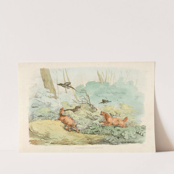 Dogs chasing birds (1817-1818) by Henry Thomas Alken