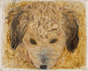 Dog’s head