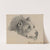 Dog’s head by Felix Octavius Carr Darley