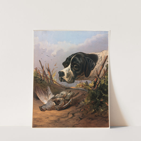 Dog’s Head (ca. 1861–1897) by Arthur Fitzwilliam Tait