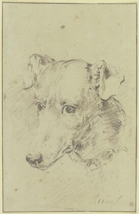 Dog’s head to the left