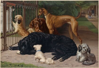 Dogs Not Admitted