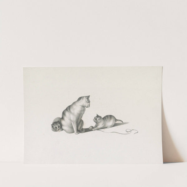 Domestic cat with two kittens, one playing with a ball of string (1820-1860) by Gottfried Mind