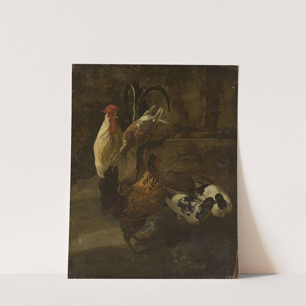 Domestic fowls by Jacomo Victors