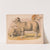 Domestic sheep (1874) by Louis Prang & Co.