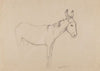 Donkey (1908)