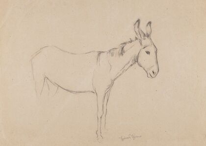 Donkey (1908)