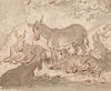 Donkeys