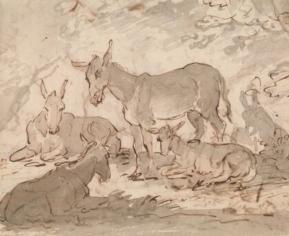 Donkeys