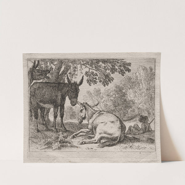 Donkeys (1620–55) by Herman van Swanevelt