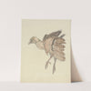 Dood vogeltje (1873 - 1917) by Theo van Hoytema