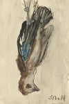 Dood vogeltje, hangend aan zijn poten