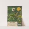 Doomsday for the Dandelion (1946) by Dow Chemical Company