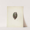 Door Knocker by Winifred Luten