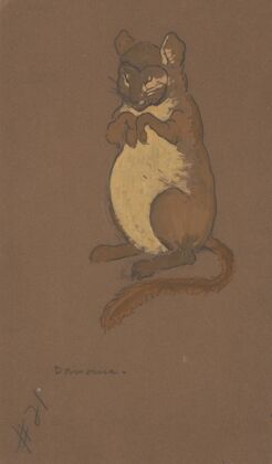 Dormouse (costume design for Alice-in-Wonderland, 1915)