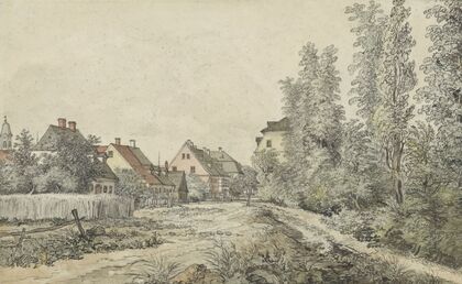 Dorpsweg met huizen