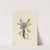 Double Bladderpod (Physaria didymocarpa) (1920) by Mary Vaux Walcott