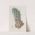 Double-glanded Euphorbia by Sydenham Edwards