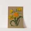 Double Tulip Yellow Rosé (1872-1881) by Arentina Hendrica Arendsen