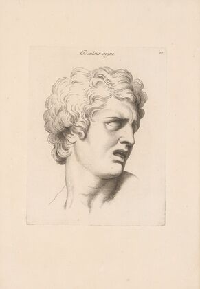 Douleur aigue (1727)