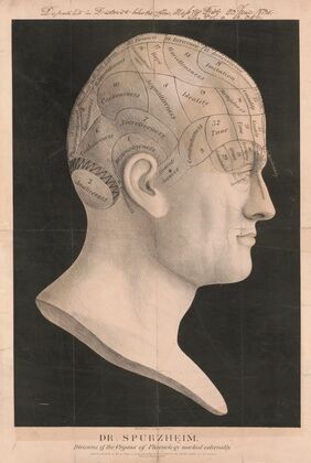 Dr. Spurzheim–divisions of the organs of phrenology marked externally (1834)