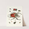 Dr. Sulzer&#039;s Short History of Insects, Pl. 01 by Johann Heinrich Sulzer
