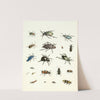 Dr. Sulzer&#039;s Short History of Insects, Pl. 07 by Johann Heinrich Sulzer