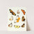 Dr. Sulzer&#039;s Short History of Insects, Pl. 14 by Johann Heinrich Sulzer