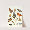 Dr. Sulzer&#039;s Short History of Insects, Pl. 17 by Johann Heinrich Sulzer