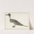 Drake Pintail (1682) by Rochus van Veen