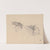 Drapery studies (1866-1867) by Józef Simmler