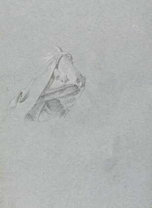 Drapery study
