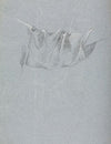 Drapery study