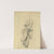 Drapery study for figure of Sculpture (ca. 1896) by Kenyon Cox