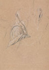 Drapery study with left hand