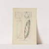 Drawing for beginners Pl.02 by Dorothy Furniss