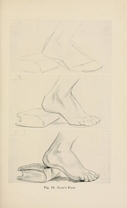Drawing for beginners Pl.08