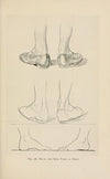 Drawing for beginners Pl.10