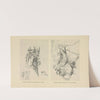 Drawing for beginners Pl.30 by Dorothy Furniss