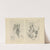 Drawing for beginners Pl.30 by Dorothy Furniss