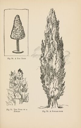 Drawing for beginners Pl.31