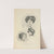 Drawing for beginners Pl.35 by Dorothy Furniss
