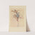 Drawing for beginners Pl.37 by Dorothy Furniss