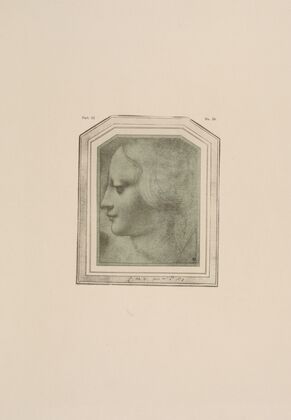 Drawing of female head in profile